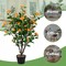 Artificial 3.3'Tree Artificial Camellia Tree Faux Plant for Indoor & Outdoor